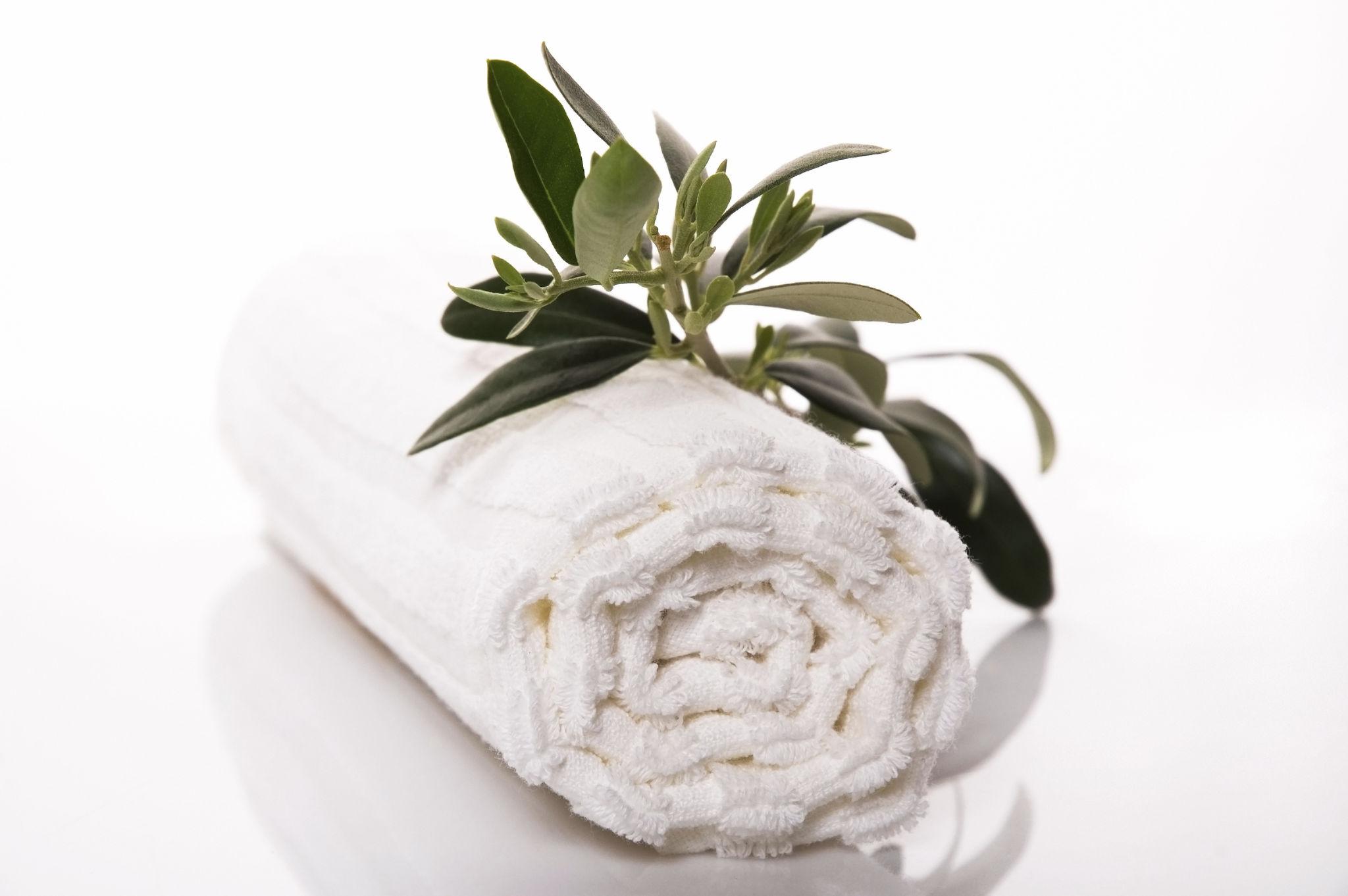 Prosop rulat cu ramură de măslin